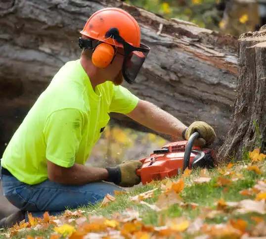 tree services Manistee